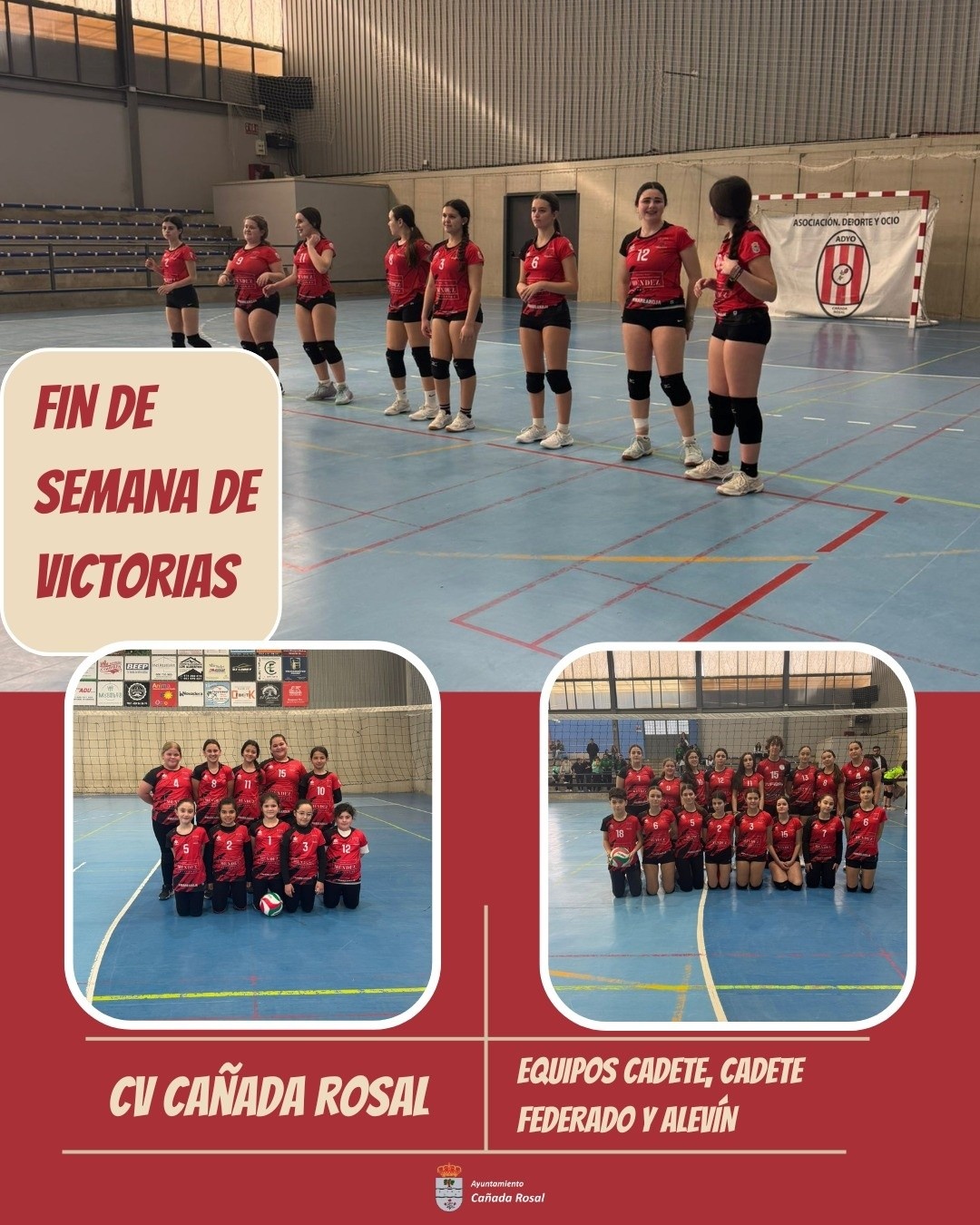 voleibol